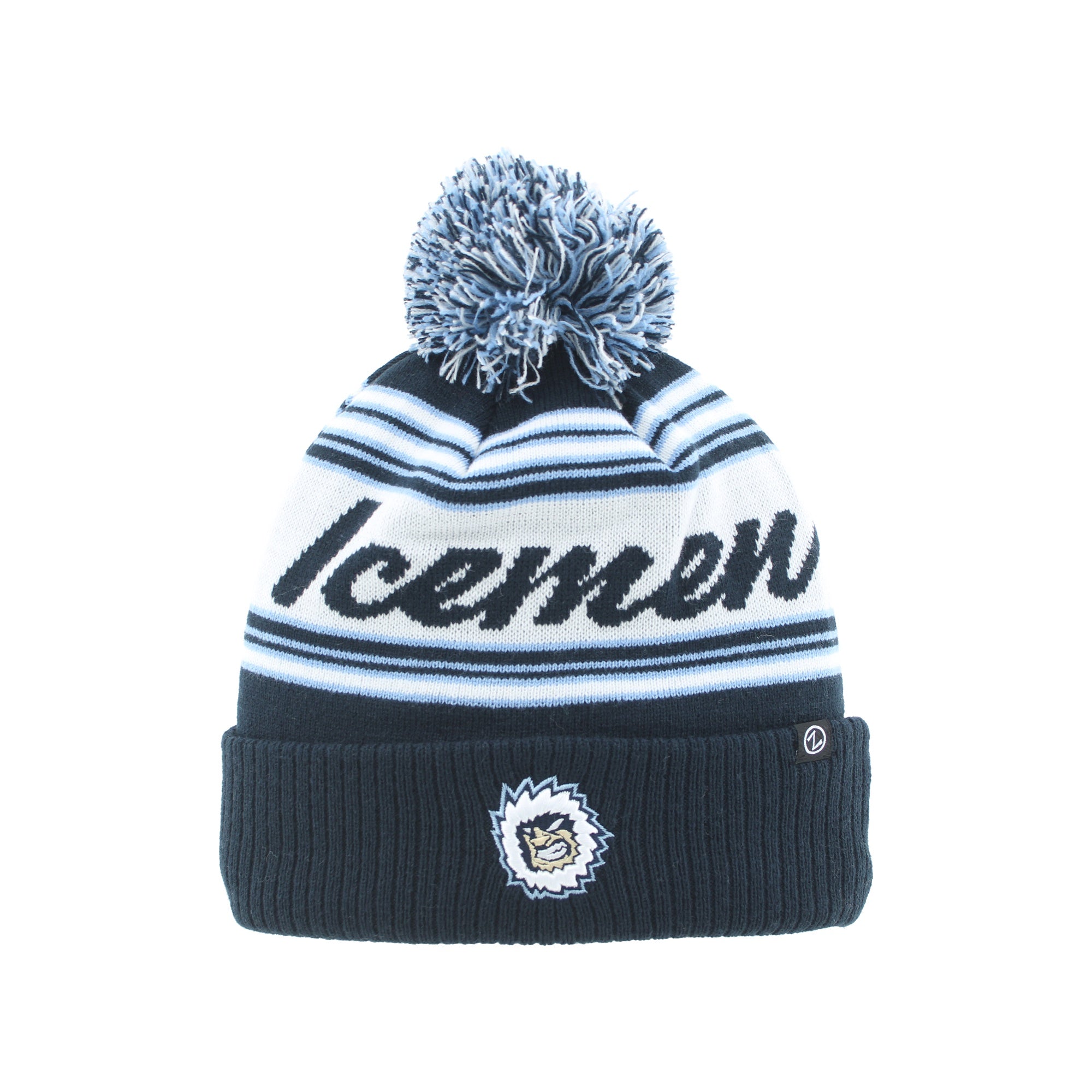 Jacksonville Icemen Purpose Eazy Script Beanie