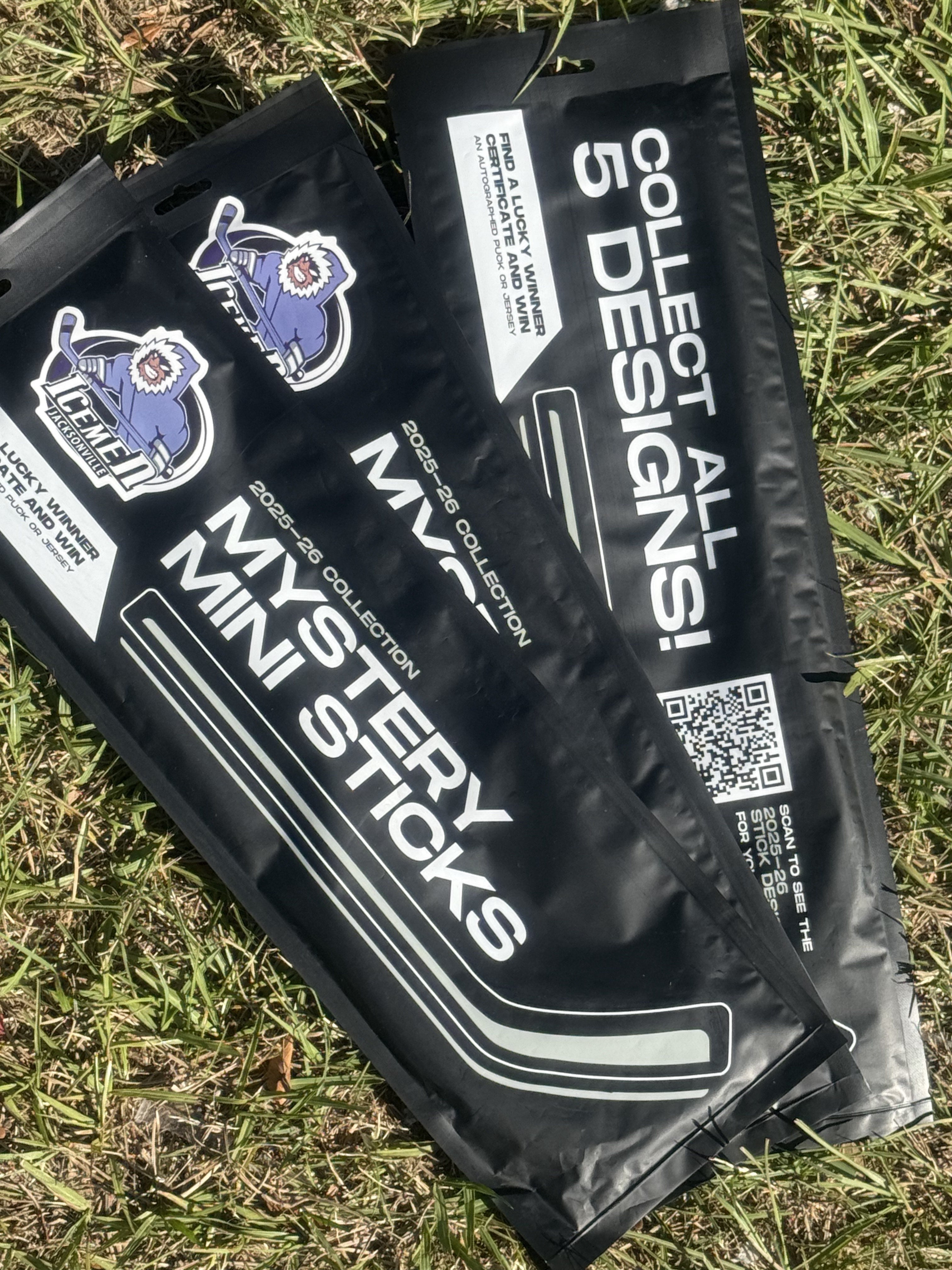 2025-26 Mystery Mini Stick