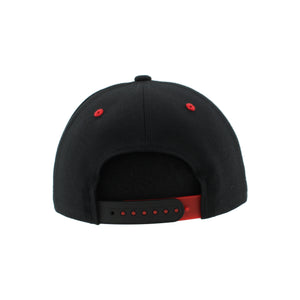 Jacksonville Icemen Ice Buffaloes Black Diag/Stripe Curved Bill Hat