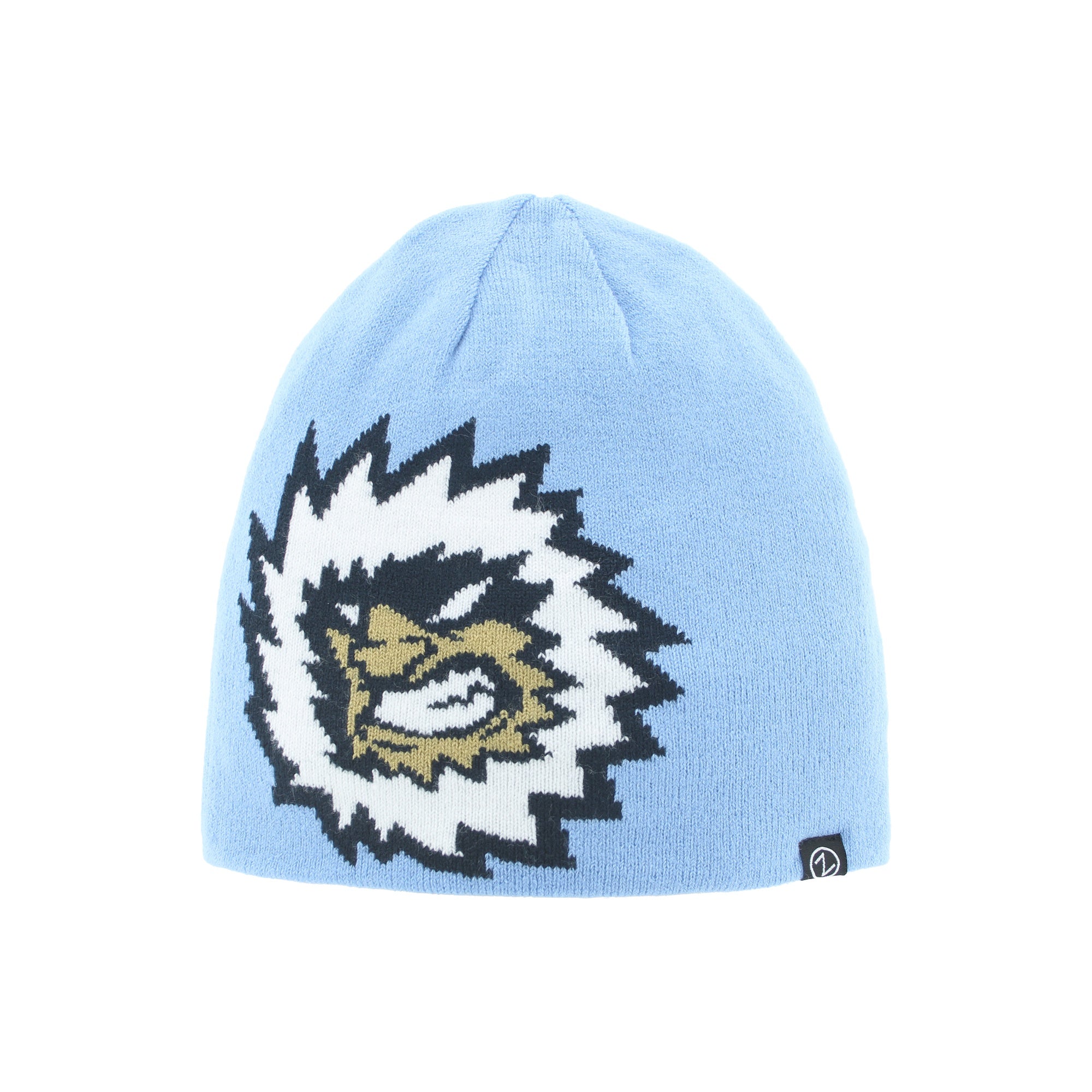 Jacksonville Icemen Reversible Schism Beanie