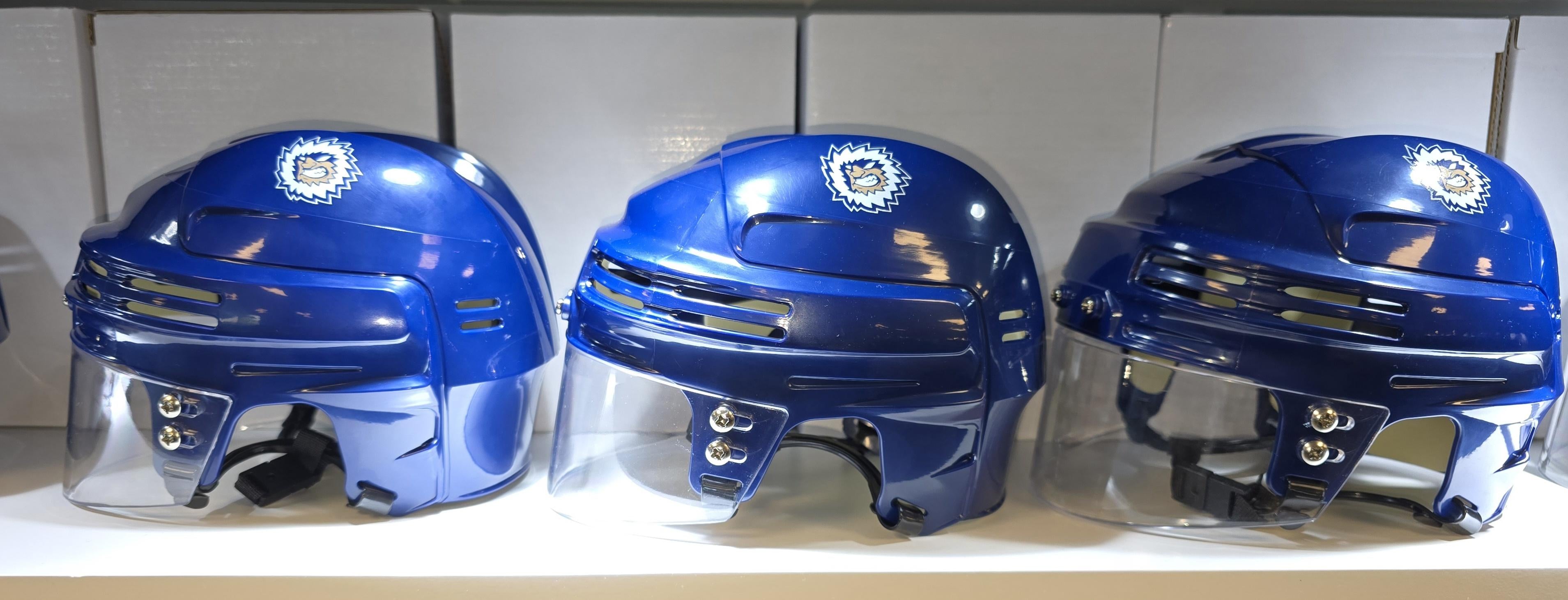 Jacksonville Icemen Navy Secondary Mini Helmet