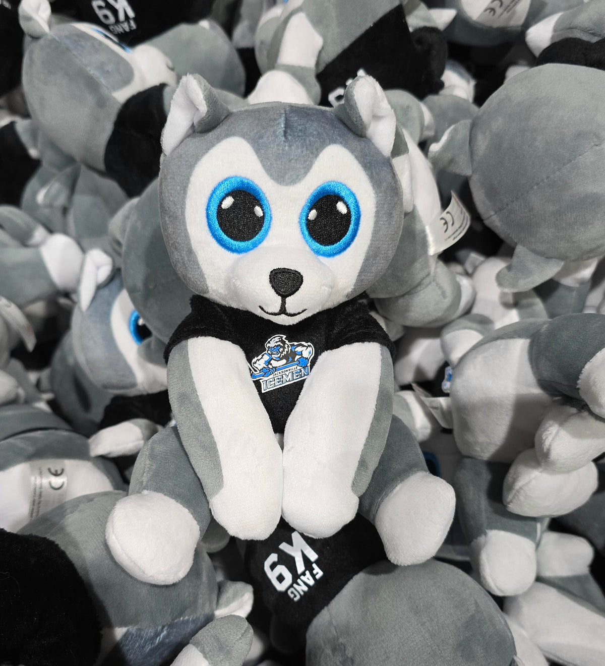 Jacksonville Icemen Big Eyed Plush