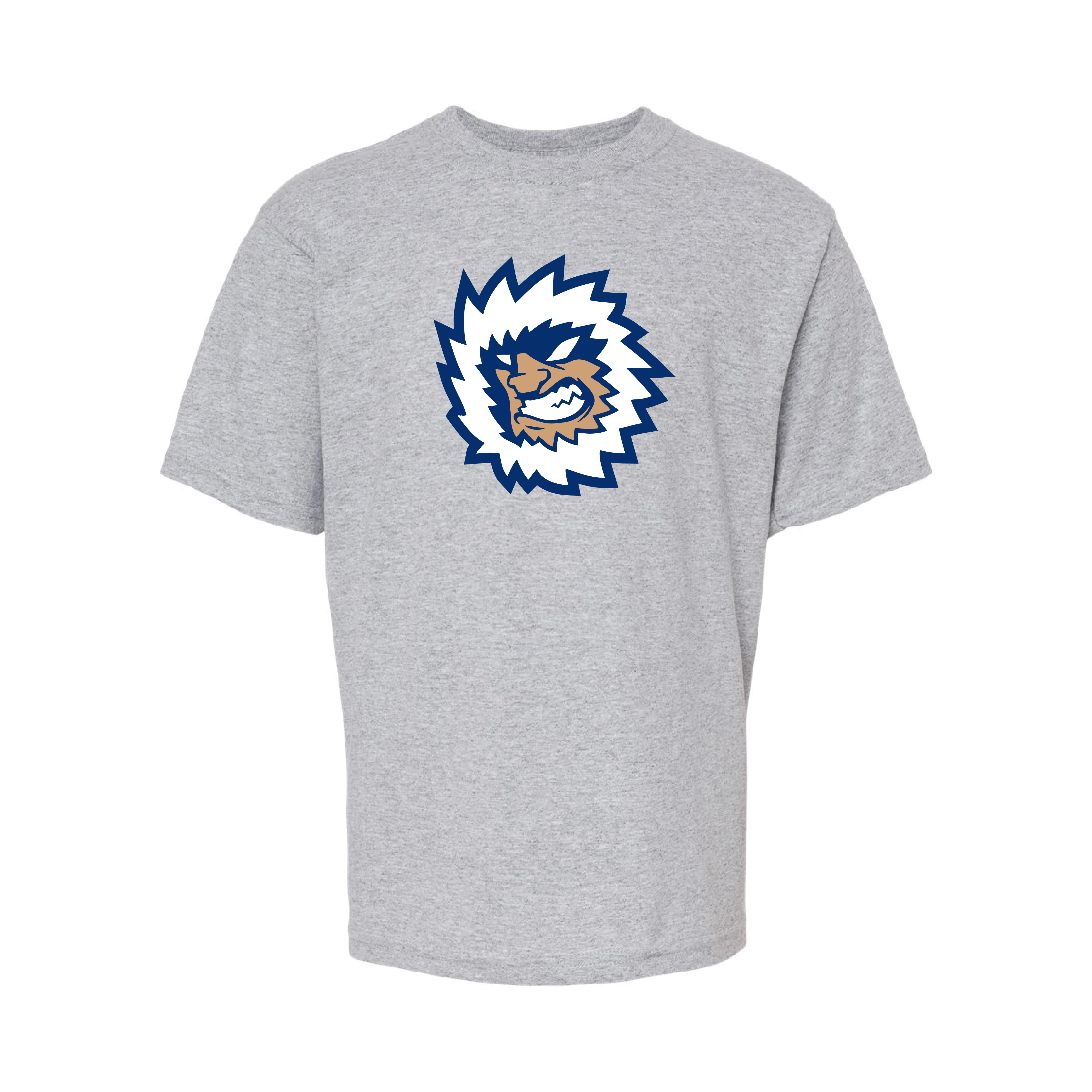 Jacksonville Icemen Youth Athletic Grey Secondary Logo Soft Touch T-Shirt