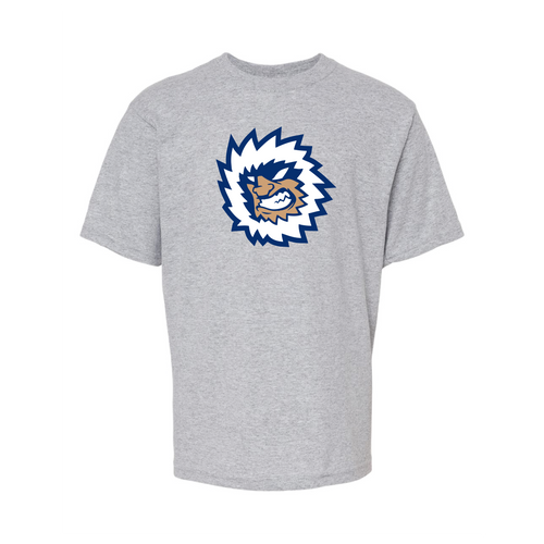 Jacksonville Icemen Youth Athletic Grey Secondary Logo Soft Touch T-Shirt