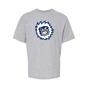 Jacksonville Icemen Youth Athletic Grey Secondary Logo Soft Touch T-Shirt