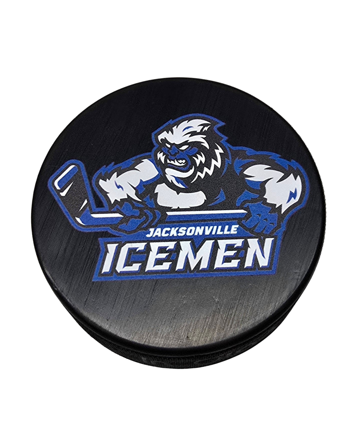 New Primary Logo Puck