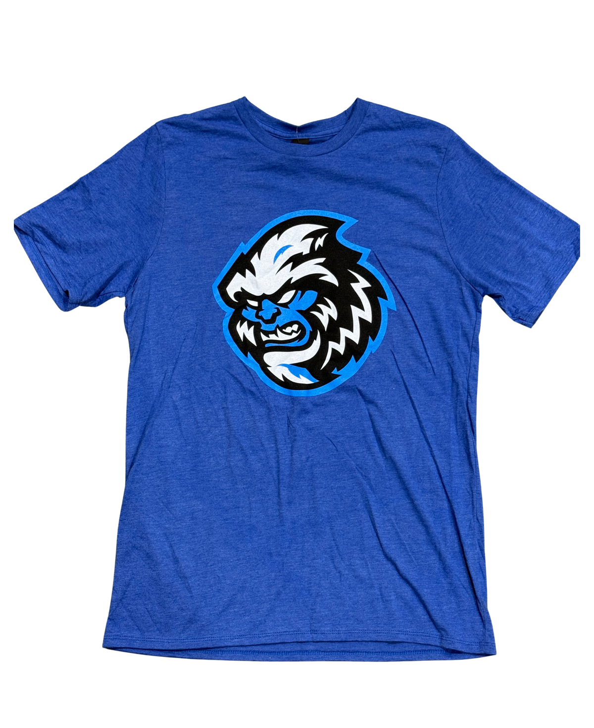 Jacksonville Icemen District Royal Frost Youth Head Logo Tri Tee