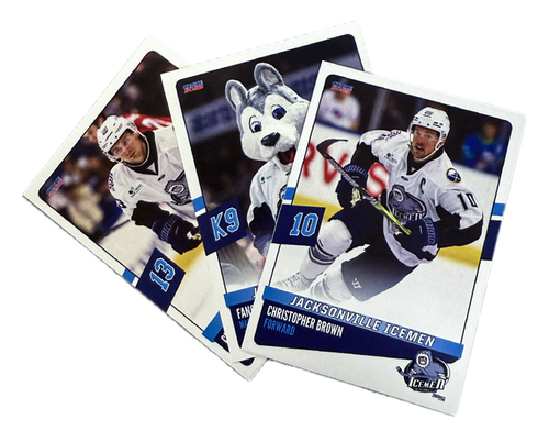 Jacksonville Icemen 2024-25 Team Card Set
